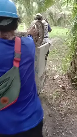 #assalamualaikum #hiburan #fyp 