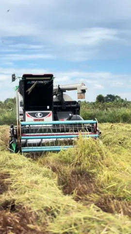 #70ขยายปาก95 #วัยรุ่นขับเฟือง🌾🌾 