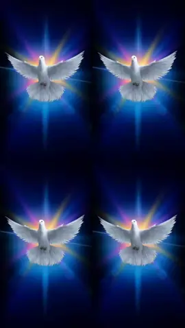 #LIVEIncentiveProgram #GoLIVEGrowFast #PaidPartnership 