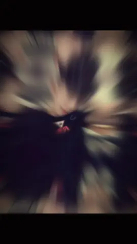 Miệng còn hôi sữa, đòi chơi trò người lớn hả kk#xuhuongtiktok #viral #xuhướng #camau #8hchicago🥷 