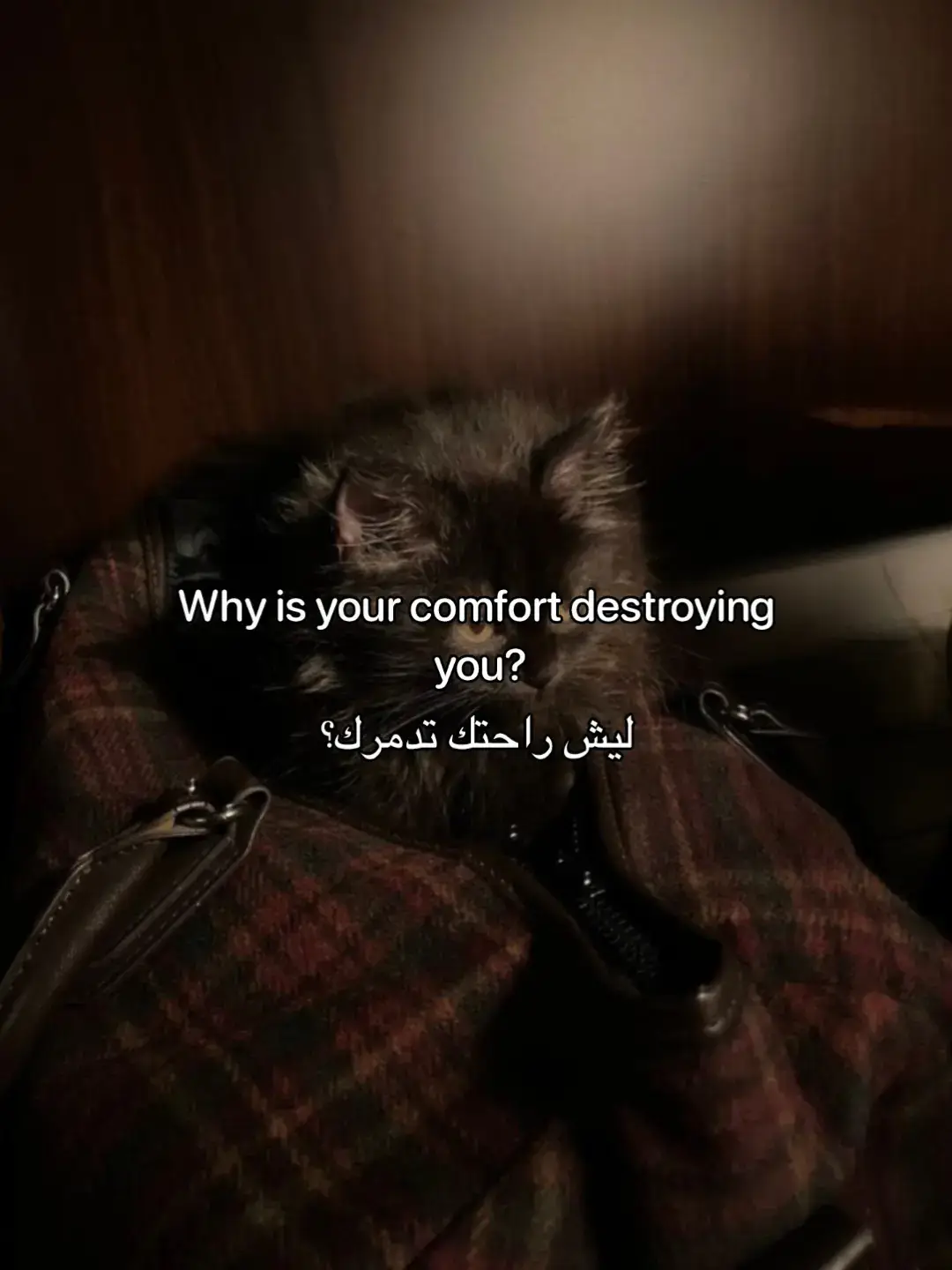 #تطوير_الذات #foryoupage #viral #GlowUp #نصائح 