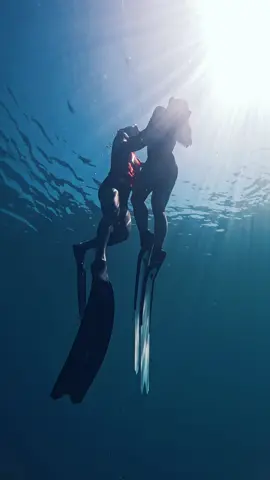 Our vow is we dive together 🤍💙@_darwin 