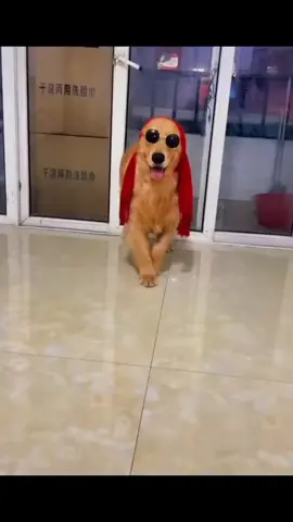 😊😊#foryou #fyp #တီချစ်သူများဆီရောက်ပါစေ🥰 #အာဝုလေးတို့ #ရယ်မောခြင်းဖြင့်အသက်ရှည်ပါ☺ 