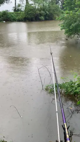 Tuần Mới Đi 1 Lần Thôi 😩#câucatựnhiên #câucá #xuhuong 