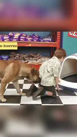 #alurceritafilm #foryoupage #filmclips #foryou 