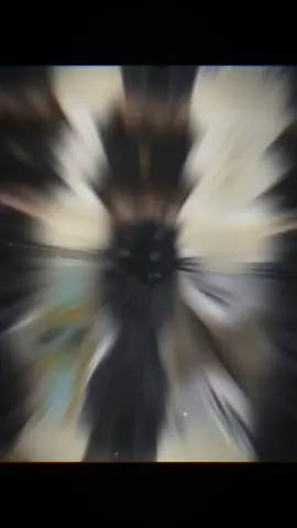 Bá#vovankiet #xhuonggggg🐰 #xybca #traidep 