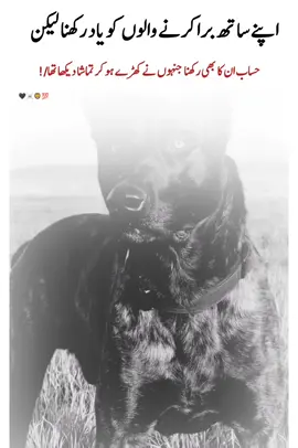 Everything remember 💯💯#fyp #foryouu #treanding #fyp #videoviral 