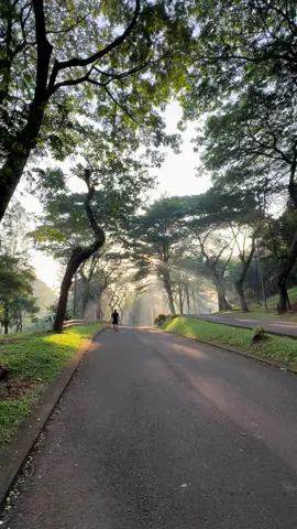 #sunday #sundaymorning #morning #weeknd #fores 