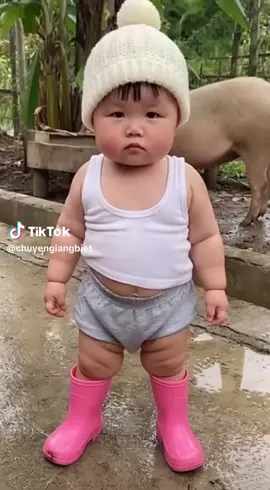 tán gái thì tôi bỏ tay 🤣#giaitri 