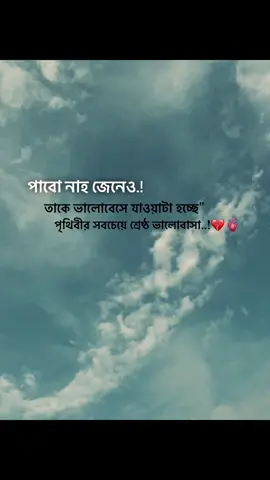 পাবো নাহ জেনেও তাকে ভালোবেসে যাওয়াটা হচ্ছে 'পৃথিবীর সবচেয়ে শ্রেষ্ঠ ভালোবাসা..#🥺M💔_______💔💔😭  ... . .. #viraltiktok #foryoupage #paratiiiiiiiiiiiiiiiiiiiiiiiiiiiiiiiiii🦋 #fyppppppppppppppppppppppp 