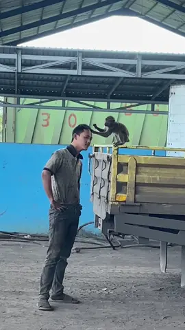 Dangar akan tu kawanku ai🤣@Lapau_ID 2 