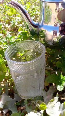 حكمة واتاي #حكمة#أمثال_شعبية#كلام_من_ذهب#قالو_ناس_زمان#sagesse_et_the 