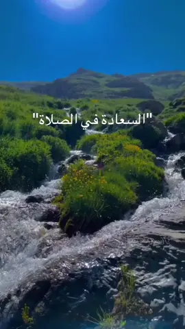 #الصلاة #الله_اكبر #قران_كريم #الهم_صلي_على_محمد_وأل_محمد #دعاء 