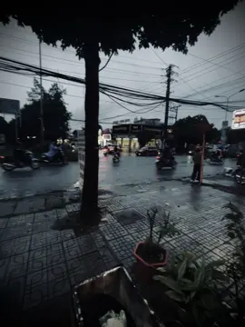 Cỏ cây héo trong mơ màng..💔