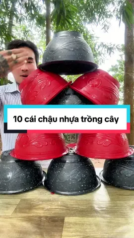 Chậu nhựa dày, chắc, không phai màu – mua 10 cái là đủ cho cả khu vườn nhỏ!#xuhuong #tiepthanthien #chaunhuatrongcay 