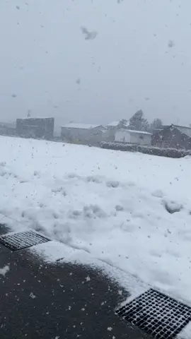 #japan Snow falls Toyama City ⛳️