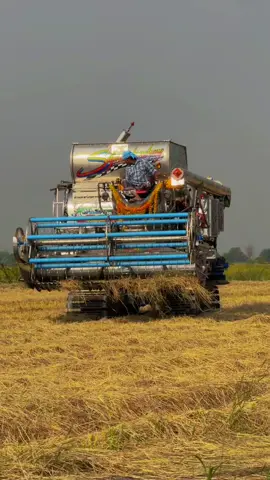 💙#ศิษย์เจริญการช่าง2024 #ทีมงานนกกระทุ้งตัวที่9 #สุพรรณหวานเจี๊ยบ💗 