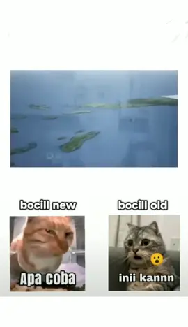 #old #vibes #page #fyp #lewatberanda 