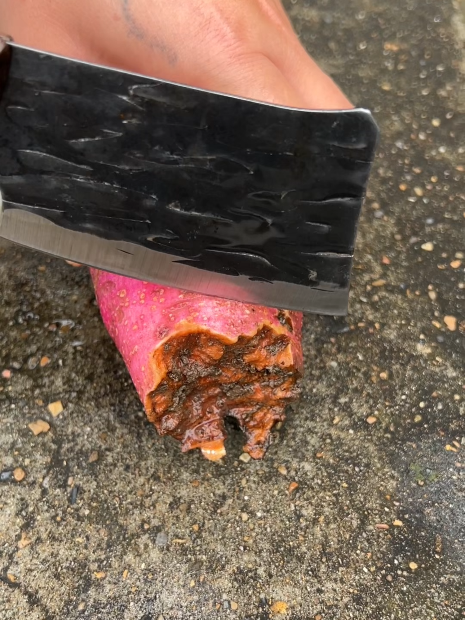 i rescued a sweet potato today. #satisfying #villagelife #asmrsounds #fyp #cut #foryoupage #stess