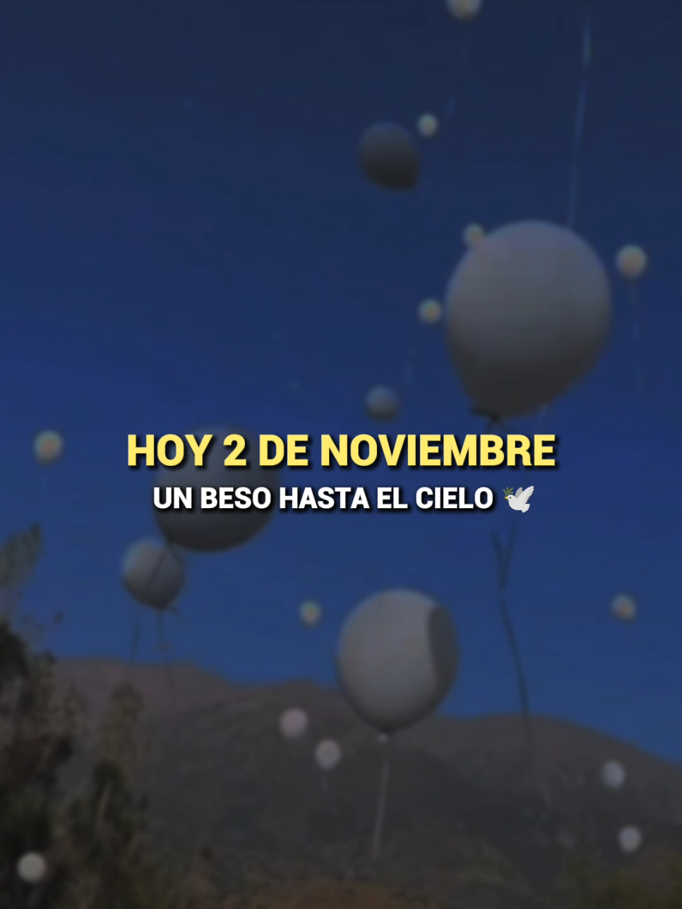 Un beso hasta el cielo 🕊️🤍 #2denoviembre #parati #fyp 