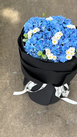 Hoa xinh 🌻🌻#hoasapgiare #hoasapbinhduong #hoasapthom #dĩanbìnhdương #hoasapdep 