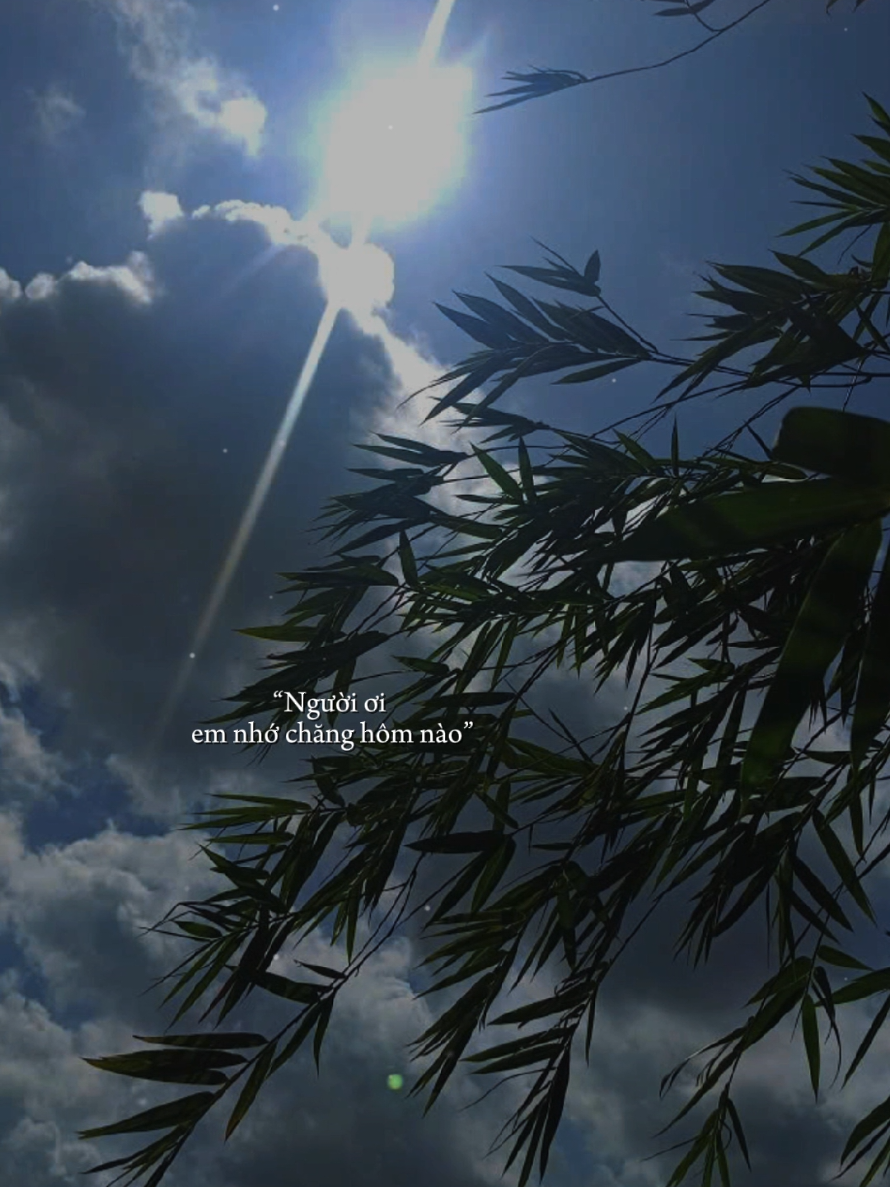 Người ơi !!! nhớ chăng hôm nào.. #nhachaymoingay  #fpy  #lặng989  #thiennhien 