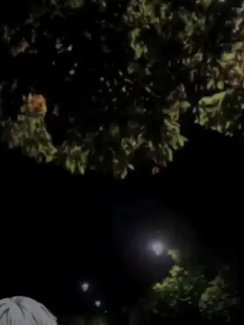 Ở mãi bên anh được không...#xhtiktok #viralvideo #nhactamtrang #foryou #CapCut 