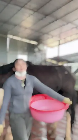 Cô nông dân chăn ngựa😅😅#fyp #viral #xuhuong 