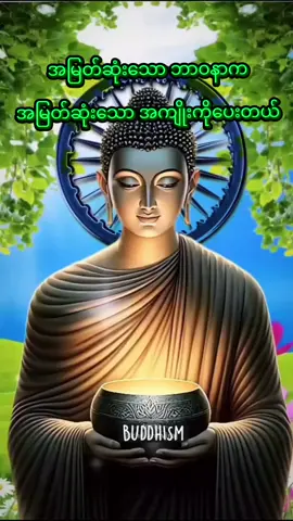 အမြတ်ဆုံးသော ဘာဝနာက အမြတ်ဆုံးသော အကျိုးကိုပေးတယ်#fyp#foryoupage #fypシ゚ #ပါမောက္ခချုပ်ဆရာတော်🙏🙏🙏 