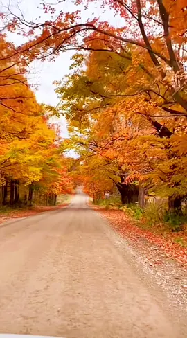 #fyp #foryou #canada_life🇨🇦 