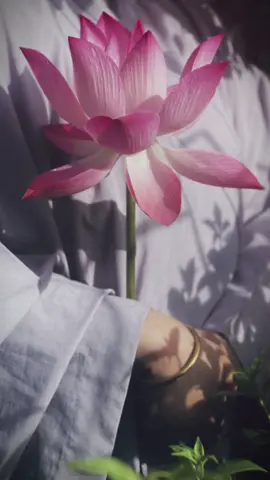 Chúng ta đã đi qua rất nhiều câu chuyện cuộc đời. Cũng gặp gỡ vô số người. Có khi là chuyện vui, có khi là chuyện không vui. Có người thì tử tế, nhưng cũng có người không mấy dễ thương. Nhưng suy cho cùng thì chuyện cũng là chuyện sẽ qua, người cũng là người đi ngang đời ta mà thôi. Thứ chúng ta có thể làm đó chính là giữ lại cho mình nét thuần lương và trong trẻo nhất. Bởi vì ai cũng sẽ có những câu chuyện riêng của mình, bầu trời của mỗi người có một màu xanh, và cũng không ai có thể nếm xem nước mắt của người nào mặn hơn được. Cho nên dù có ra sao thì chúng ta vẫn nên giữ lại cho chính mình điều bình dị nhất, mọi thứ đều sẽ là chuyện đi qua cả.  Một người có đủ bình an là người có thể bình thản trước thực tế phũ phàng. Một người biết đủ và biết chấp nhận sẽ chọn cho mình một con đường dung dị nhất để đi. Mưa đến thì ngắm mưa, nắng vàng thì ngắm cúc, một chén trà, một trang sách, bình an và tĩnh lặng. - - - - - - - #DiệuNgọcÂm #Duoicanhthienmon #phatphapnhiemmau #binhyen  