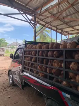 sikat #foryoupage #4u 