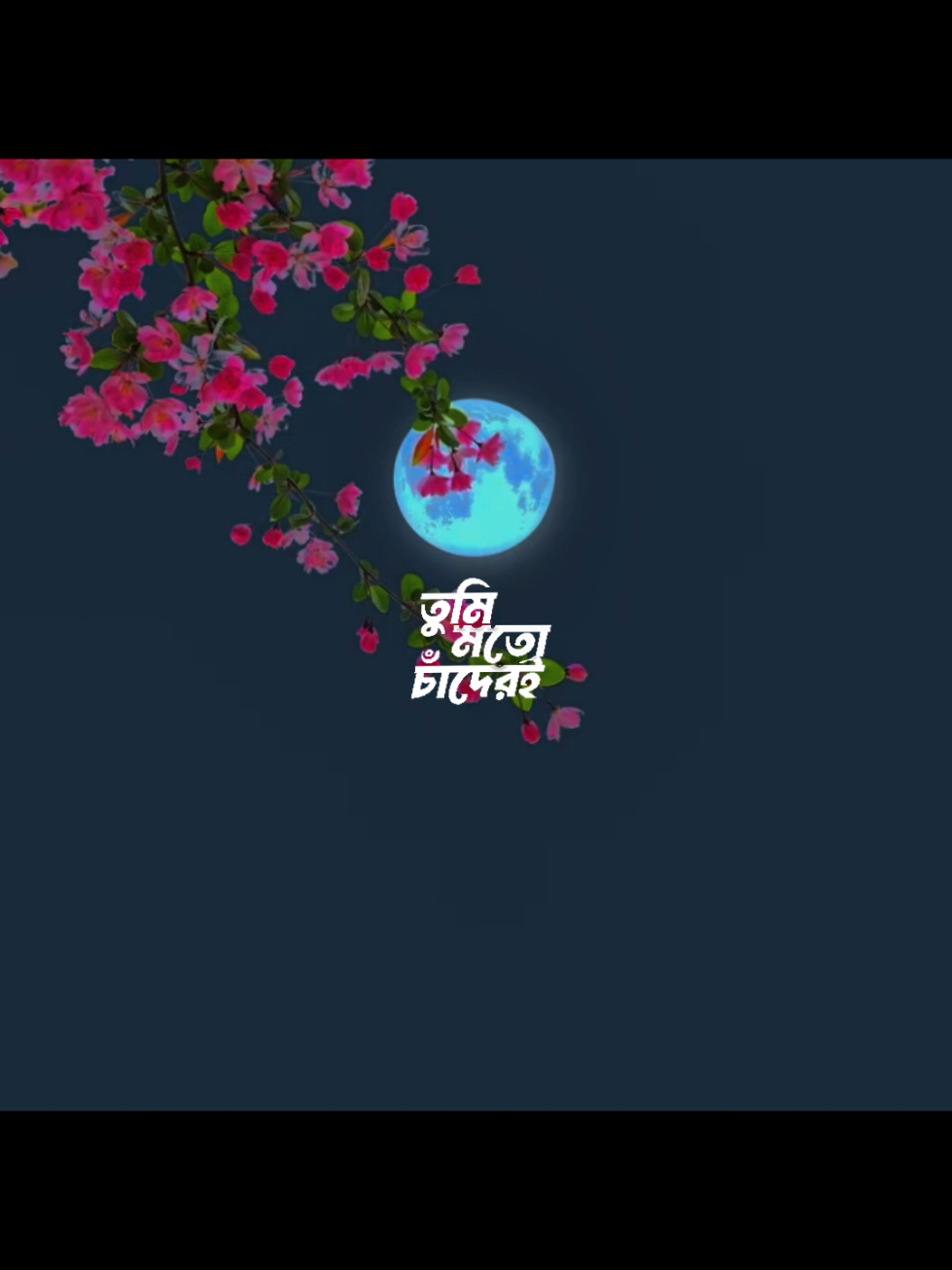 চাঁদ কি জানে তুমি চাঁদের মতো!💗🩷 .   . . . . . . . #banglasong  #foryou  #bdtiktokofficial  #fyp  #its_minhaz16  @TikTok Bangladesh 