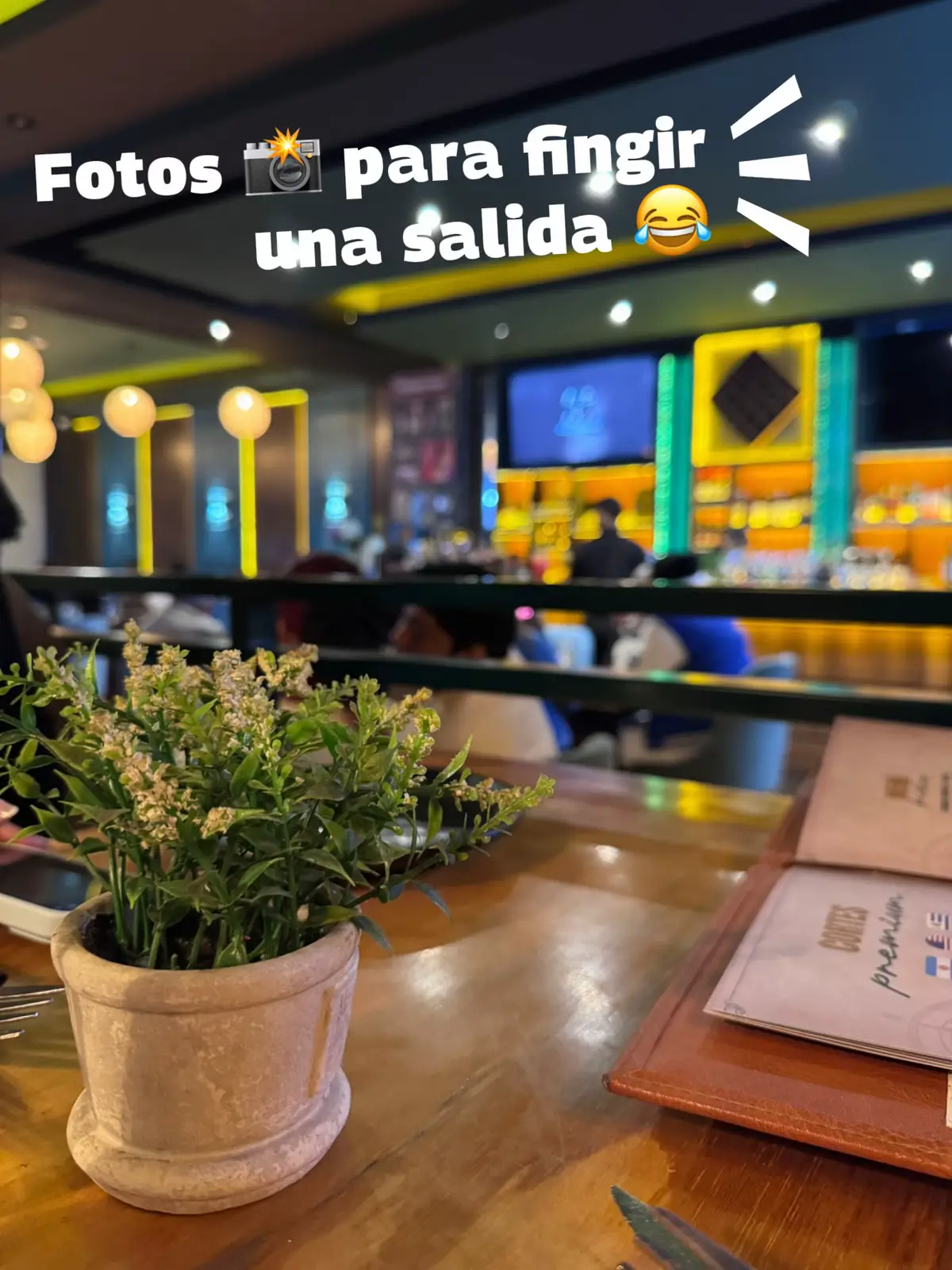 📍Terra Fest Lounge Bar #fotos #fingirsalida #salida #simular #fakesituation⚠️ 