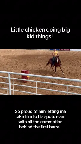 @꧁𓃗Tʜᴇ Mᴀʀᴇ Sᴛᴀʀᴇ𓃗꧂  this sweet confident boy is for sale!