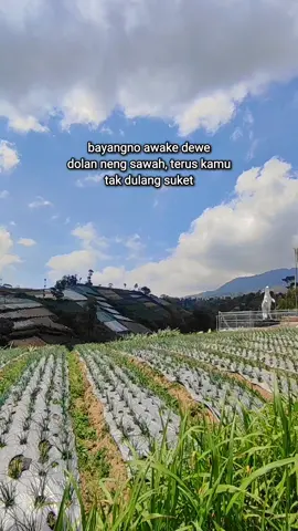 jan romantis tenan...🤣🤭 #fyp #foryou #viral #fypシ #foryoupage 