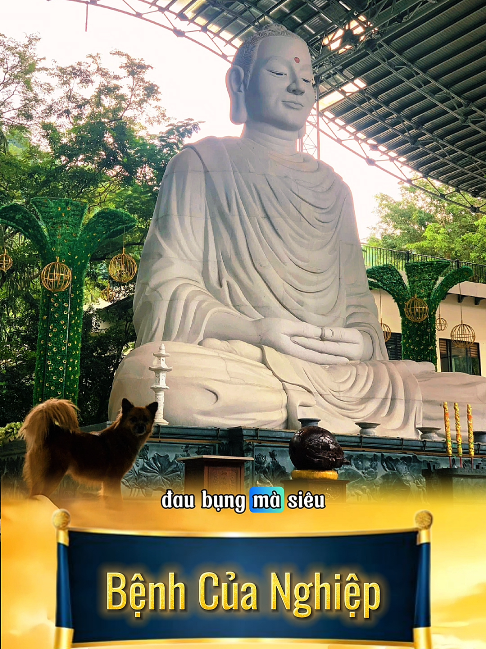 Bệnh Của Nghiệp #kienthucphatgiaoboich #ttthichchanquang #shorts 