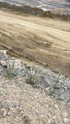 #indocement #4u #foryou 