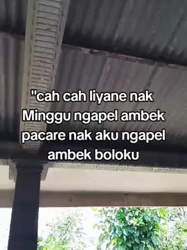 @.daff ayoww ngapel nehhh sayang#fyppppppppppppppppppppppp #viral #bjn24jam 