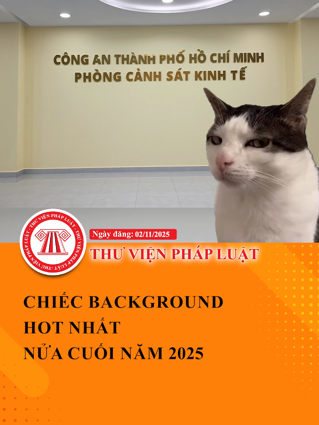 Chiếc background hot nhất nửa cuối năm 2025 #ThuVienPhapLuat #LearnOnTikTok #Hocungtiktok #TVPL