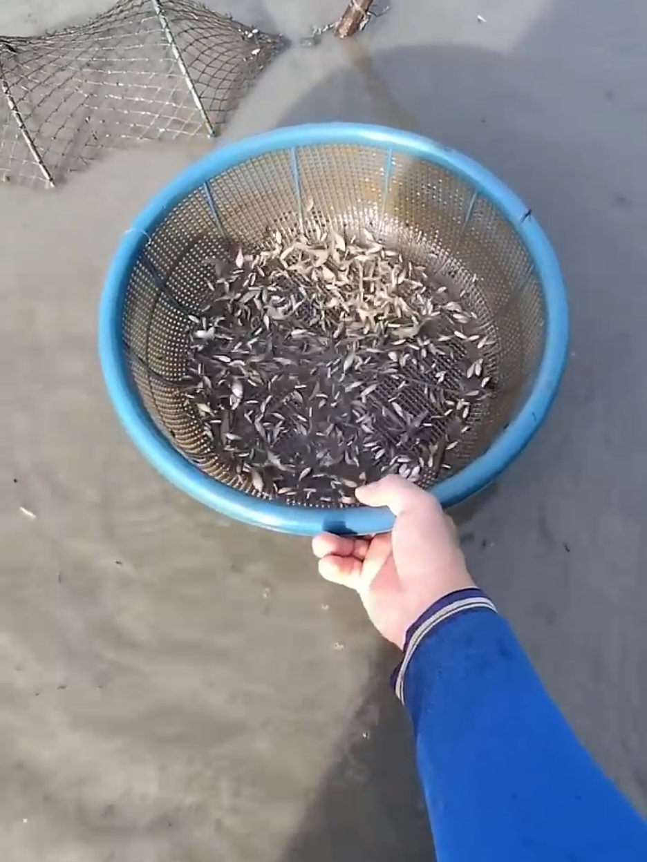 #viralvideo #foryoupage #trending #foryou #unfrezzmyaccount 