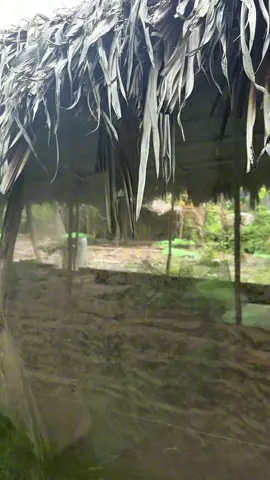 Hết hôm nay nữa đi thiệt #thaicm #giaitri 