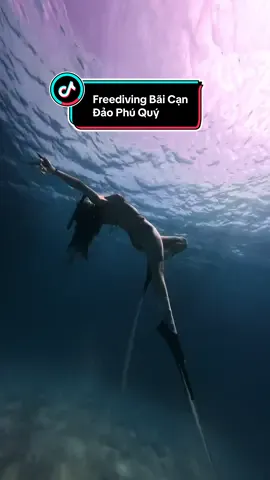 Trộm vía đầu tháng 11 biển trong xanh #freediving #freedivinggirl #freedivingvideo #daophuquy #xuhuong 