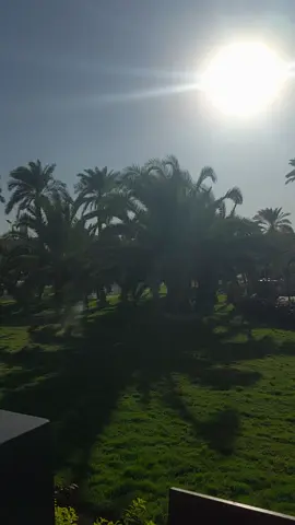 شلون الاجواء يمكم ✨❤ . #الفارابي_نحو_العالمية  #الفارابي  #طلاب_الجامعات  #جامعيون #كليه_الفارابي_هندسه_نفط 