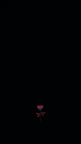 Aku tidak pernah pergi🥹