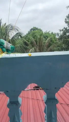 Thông tiếp mấy ngày nũa nhé xin lỗi hàng xóm nhiều😆#xuhuongtiktok #dieusaovietnam #đammedieusao #dieusaohanam90 #dieusaoninhbinh✈ 