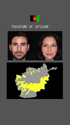 Pashtun of Afghanistan average face & DNA #pashtun #afghan #centralasian #dnaresults #pashtosong 