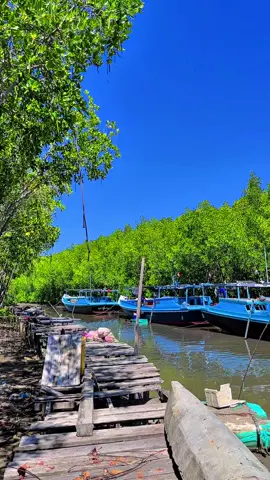 #CapCut #fyp #saromase19🔥