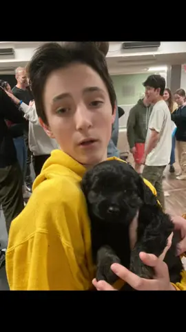 Filter and angles play a big role in this lol. But I definitely have changed a lot. #lm #GlowUp #looksmax #SelfImprovement #mog 