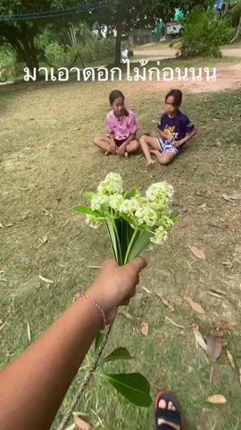 @วุ่นวายฯ.❤️‍🔥 @aomt_09 #ฟีดดดシ #หนูไม่รู้ #เติมไฟฟฟฟฟฟฟฟฟฟ 
